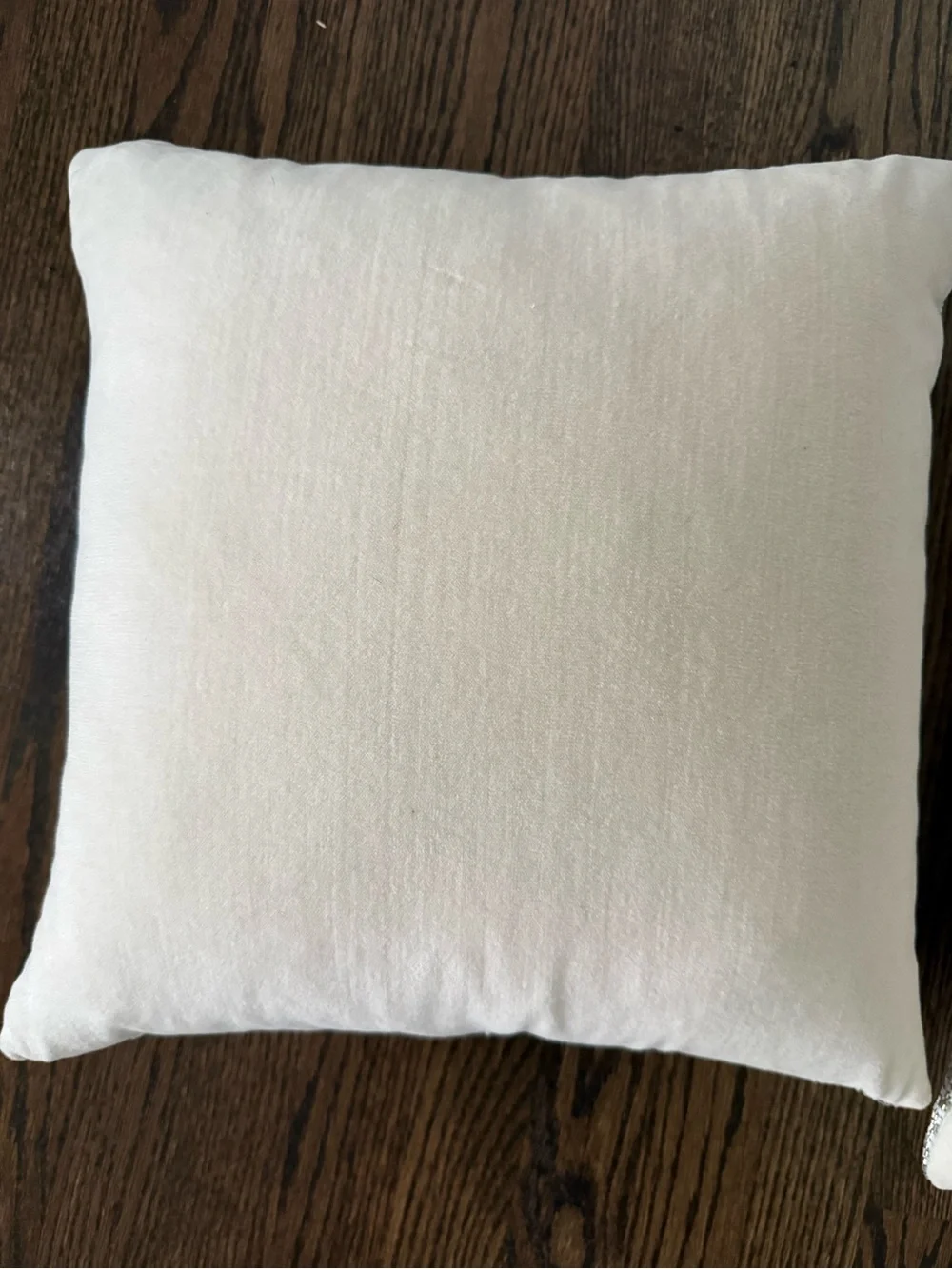 Crate&Barrel Crystal Beaded Pillow - Pair